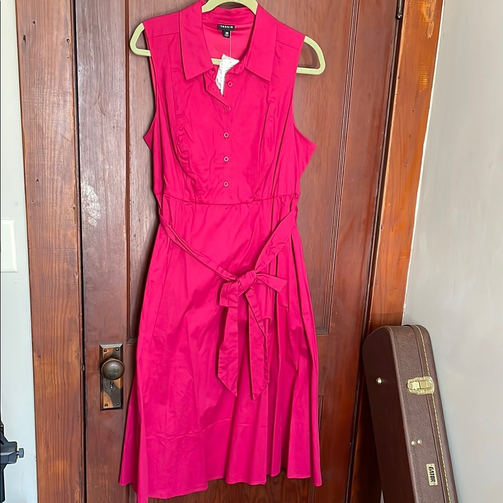 Torrid Pink Sleeveless Dress